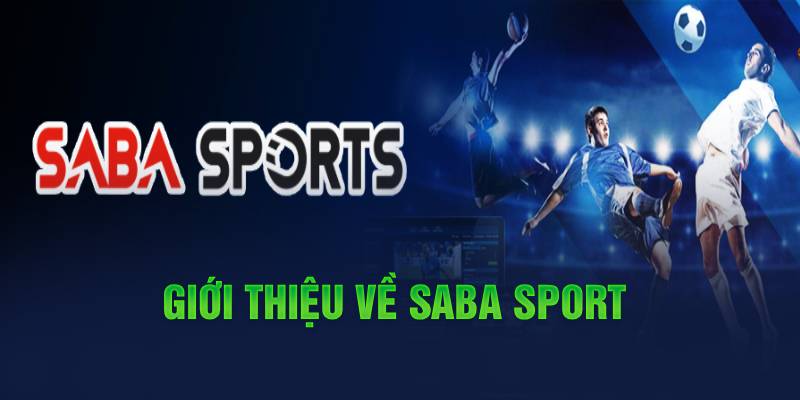 Giới thiệu về Saba Sport