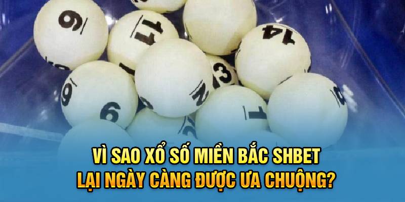 Vì sao xổ số miền Bắc Shbet lại ngày càng được ưa chuộng?